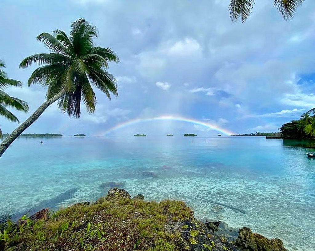 Palmyra Atoll An Ecological Refuge Under U