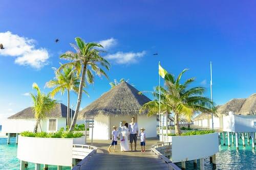 Free Green Palm Trees and White Gazebo Stock Photo