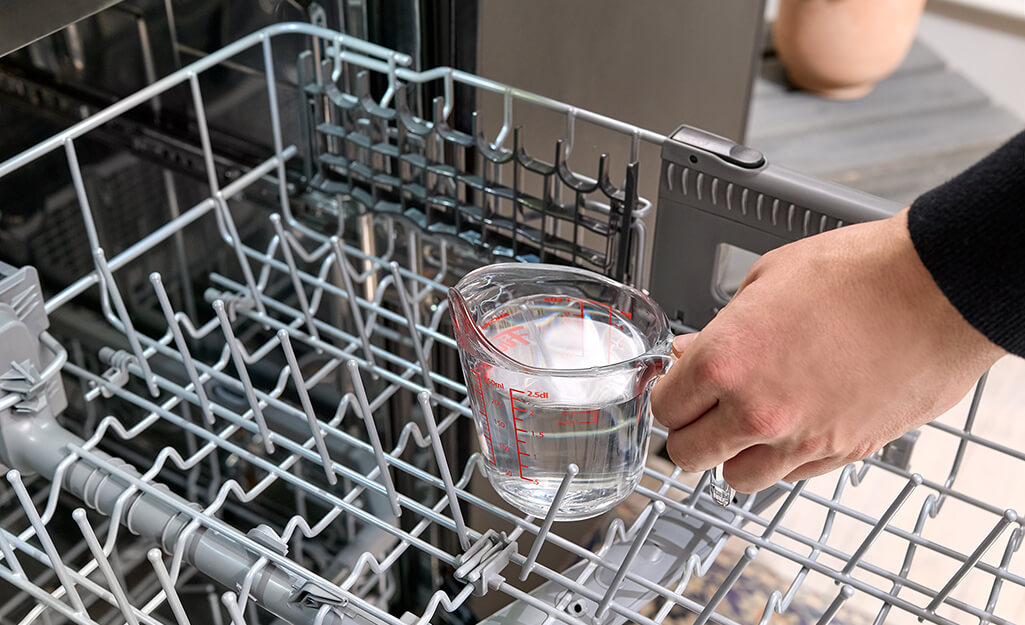 Regularly Clean Your Dishwasher