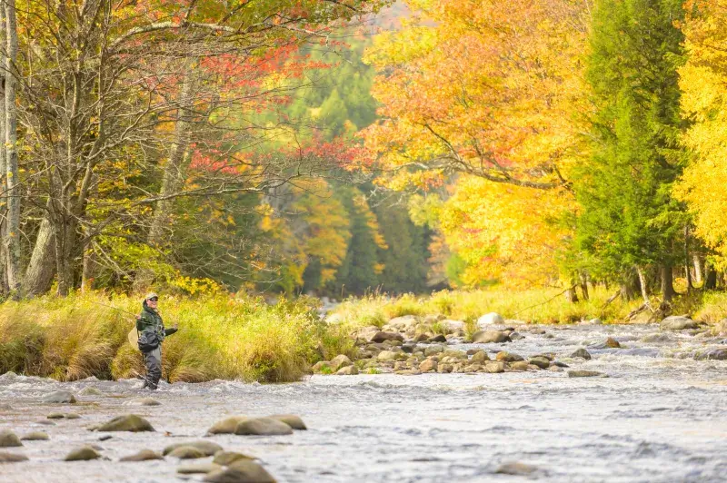 Fishing in the Fall: Why This Season Offers Unique Opportunities